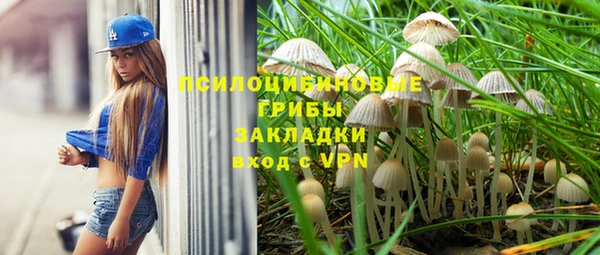 apvp Абдулино