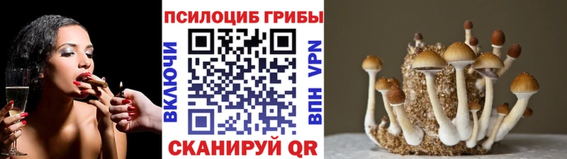 Псилоцибиновые грибы ЛСД  где продают   Стрежевой 